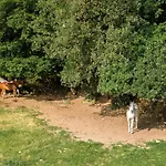 Agriturismo Croara Vecchia فندق مبيت وإفطار *