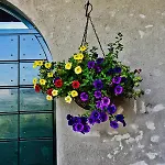 Agriturismo Croara Vecchia Gazzola Di Rivalta