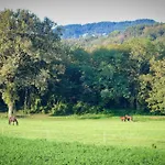 Agriturismo Croara Vecchia فندق مبيت وإفطار