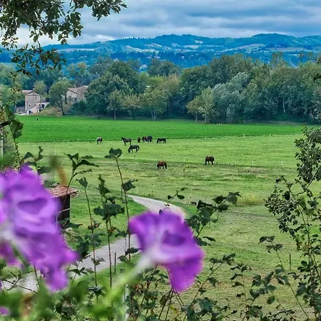 Agriturismo Croara Vecchia 住宿加早餐酒店 Gazzola Di Rivalta