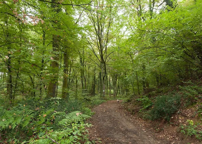 住宿加早餐酒店 Agriturismo Croara Vecchia