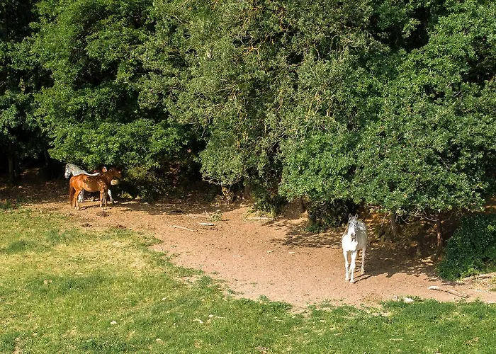 Agriturismo Croara Vecchia 住宿加早餐酒店 *