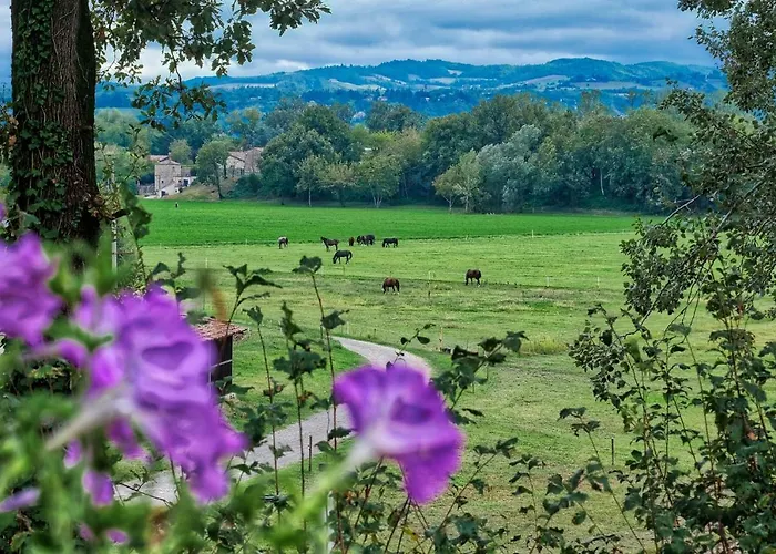 Agriturismo Croara Vecchia 住宿加早餐酒店 Gazzola Di Rivalta