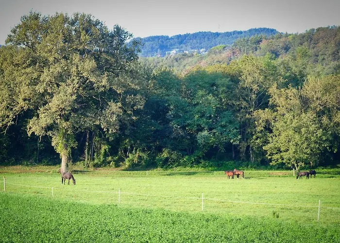 Agriturismo Croara Vecchia 住宿加早餐酒店