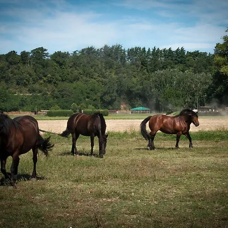 Bed & Breakfast Agriturismo Croara Vecchia Gazzola Di Rivalta
