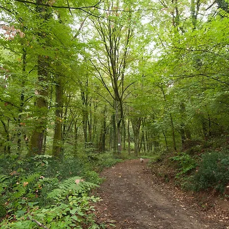 Bed & Breakfast Agriturismo Croara Vecchia