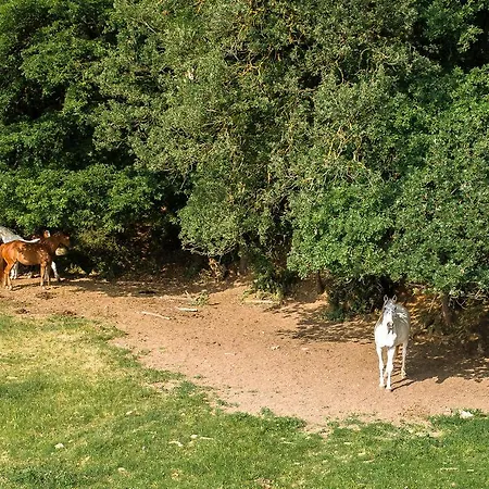 Agriturismo Croara Vecchia Отель типа 
