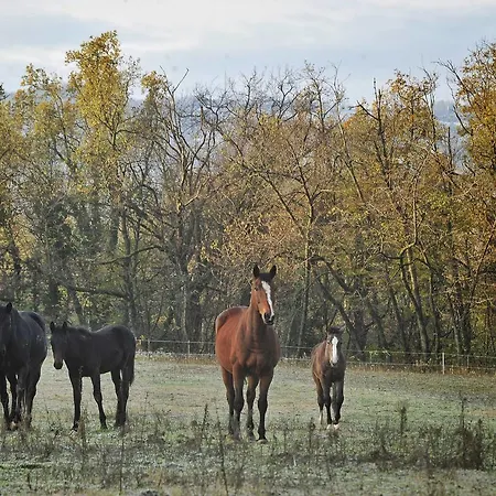 Agriturismo Croara Vecchia Отель типа 