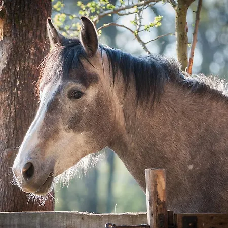 Agriturismo Croara Vecchia