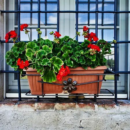 Agriturismo Croara Vecchia