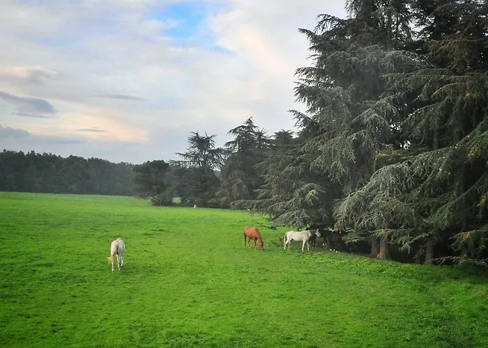 Agriturismo Croara Vecchia Gazzola Di Rivalta