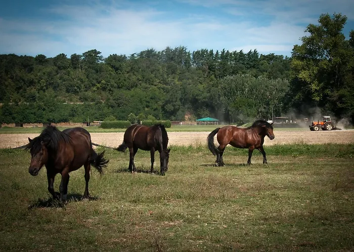 B&B Agriturismo Croara Vecchia 가졸라 디 리발타