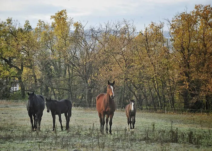 Agriturismo Croara Vecchia B&B
