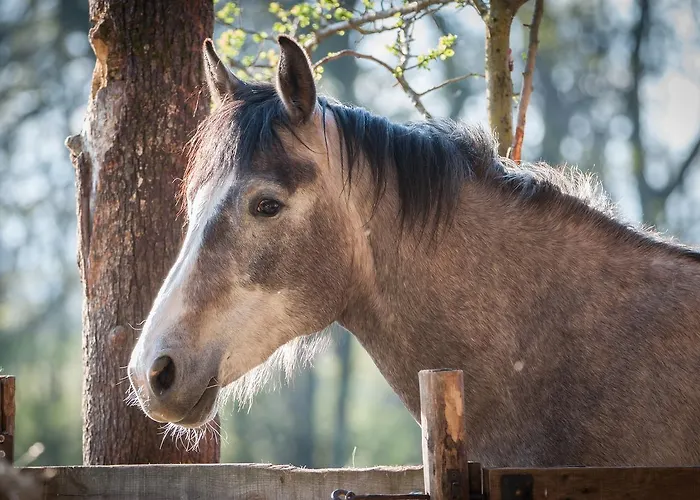 Agriturismo Croara Vecchia